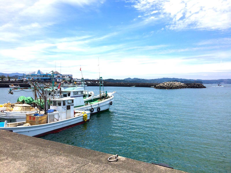 湊浦漁協食堂からの漁港