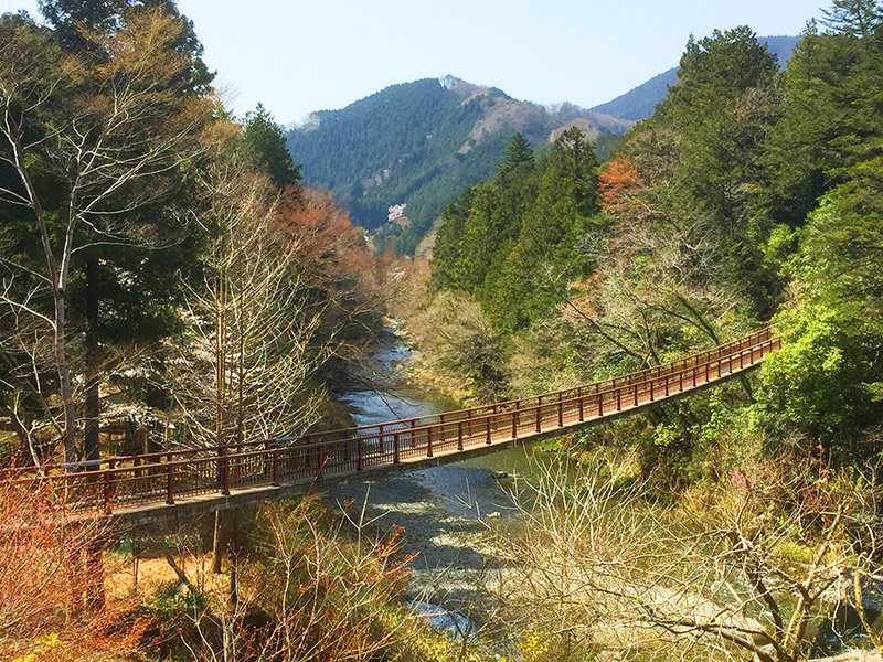 秋川渓谷 瀬音の湯&石舟橋で自然を感じる半日おでかけプラン